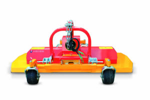 Aedes varius.Serie RMV